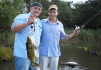 /album/galeria-de-fotos-pagina-inicial/imagem038f-1-jpg/